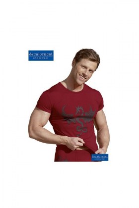 herren-dragon-shirt-m